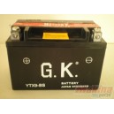 YUASA Battery YTX9-BS Honda CBR-600/900