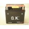 YTX5LBS  Battery YTX5L-BS Suzuki FL-125 Address 