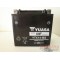 YTX14BS  YUASA Battery YTX14-BS Piaggio Beverly-250/400/500