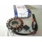 31120HMC000  Complete Stator Sym Citycom 300 GTS-250-300