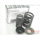 83036028144  Valve Spring Kit KTM EXC-400-450-520-525 '01-'07