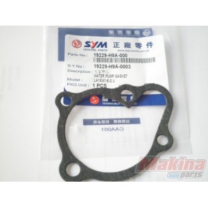 19229H9A000  Water Pump Cover Gasket SYM Citycom-300i GTS-250-300 HD-125-200