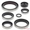 860VG822190  VERTEX Engine Oil Seals Kit KTM EXC-250 '00-'03  SX-250 '00-'02