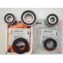 KTMJ760264208  Σετ Ρουλεμάν-Τσιμούχες Πίσω Τροχού KTM Duke-125-200-390