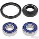 25-1069  All Balls Racing Wheel Bearings & Seals Kit Honda 