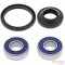 25-1069  All Balls Racing Wheel Bearings & Seals Kit Honda 