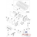 54832067000  Clutch Pumb Release O'ring KTM EXC-SX '06-'16